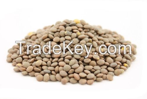 Lentils, Red Lentils, Pink Lentils All Colours, quality whole and split 100% Quality