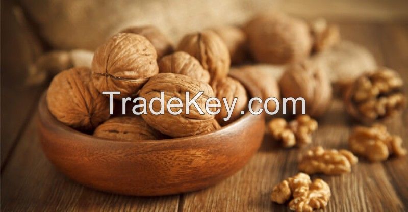 Walnuts, Fresh Walnuts, Dried Walnuts, Quality 100%