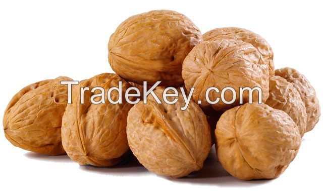 Walnuts, Fresh walnuts, Dried Walnuts, Quality 100%