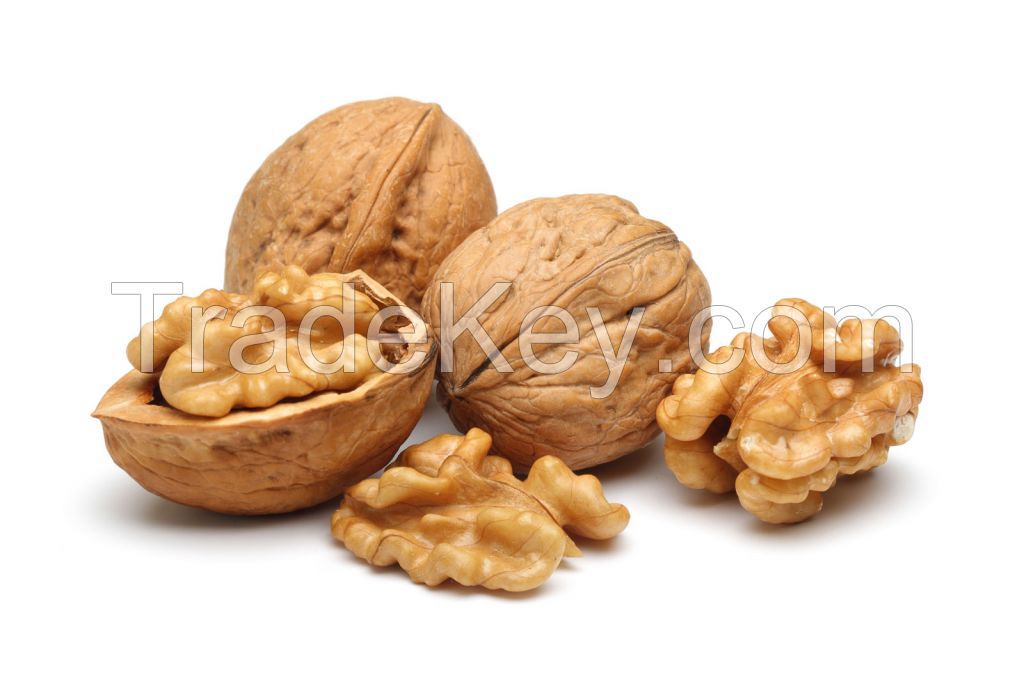 Walnuts, Fresh walnuts, Dried Walnuts, Quality 100%