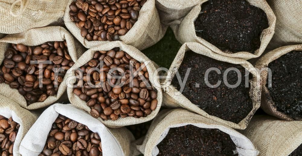 Coffee Beans, Fresh And Dried Coffee Seeds Arabica Robusta Beans