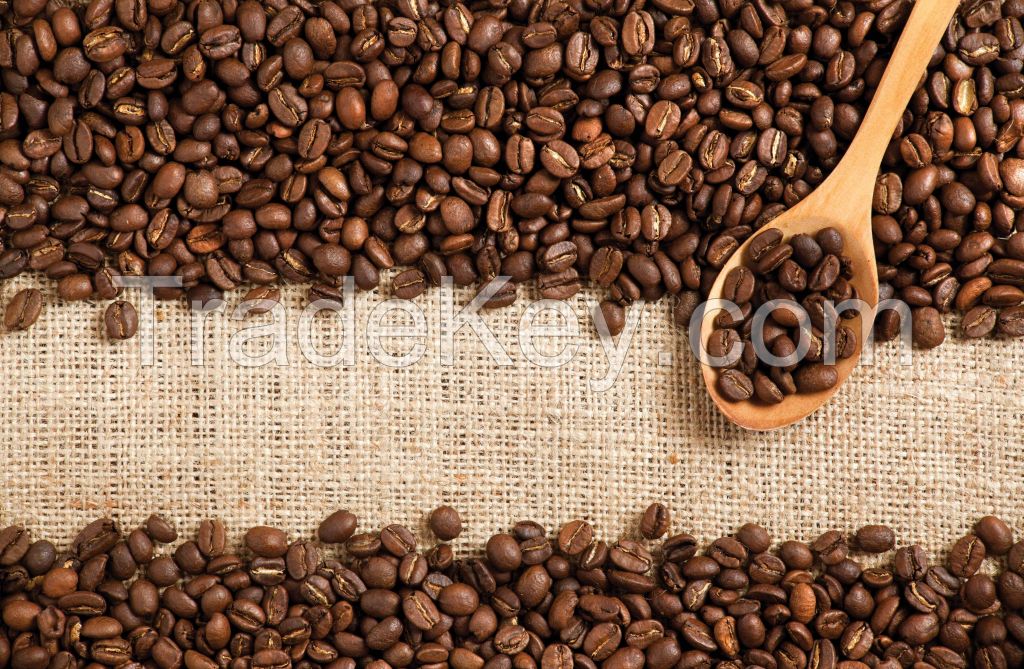 Coffee Beans, Fresh And Dried Coffee Seeds Arabica Robusta Beans