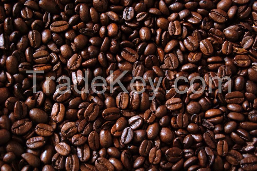 Coffee Beans, Fresh And Dried Coffee Seeds Arabica Robusta Beans