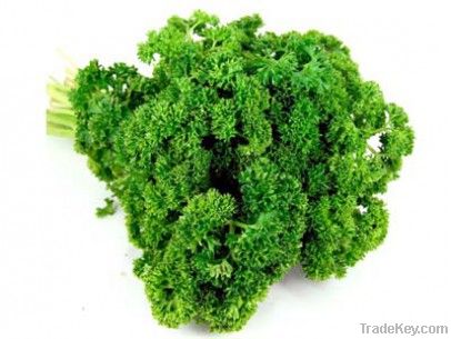 Parsley