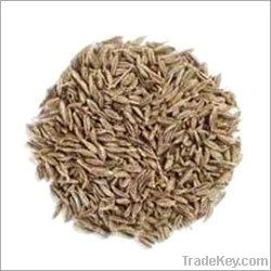 Cumin Seeds