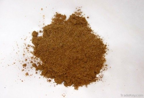 Cumin Powder