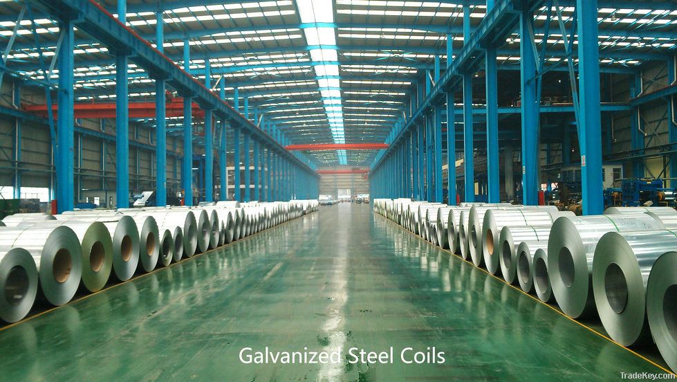 Galvanized Steel coils