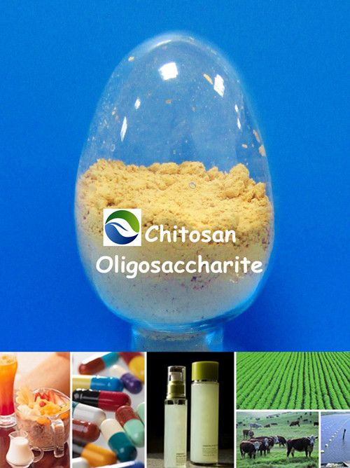 Natural Functional Food Ingredien & Additive-Chitosan Oligosaccharide
