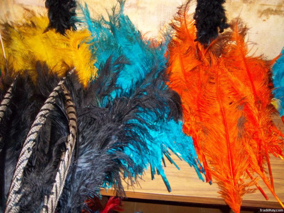 ostrich feathers