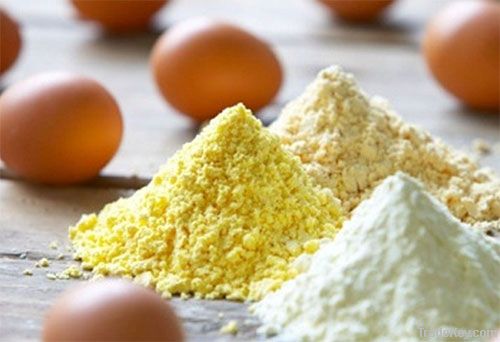 Egg Yolk Powder