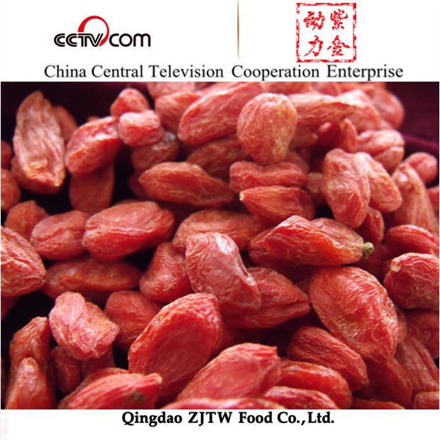 wholesale chinese dried goji berry