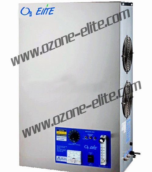 Ozone disinfector