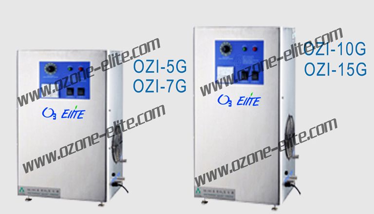 Ozone disinfector