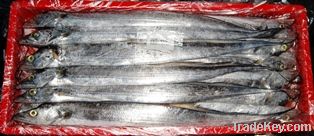 Ribbonfish