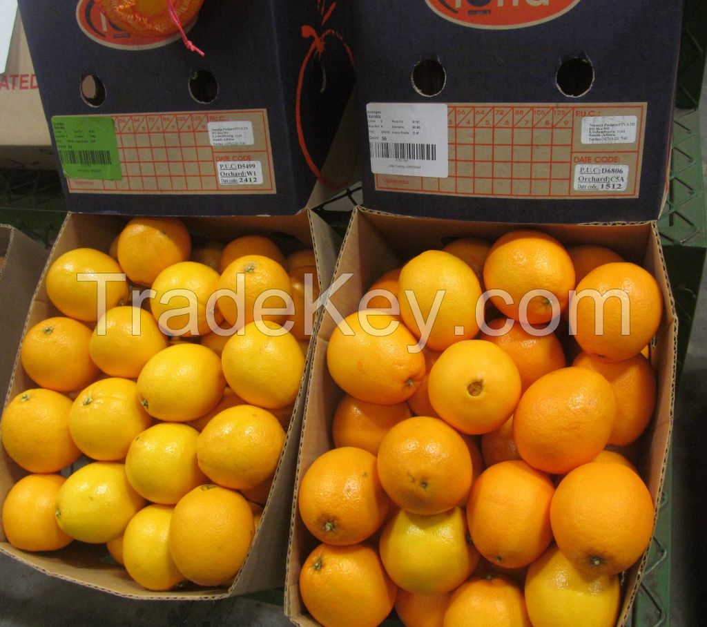 Citrus Fruits