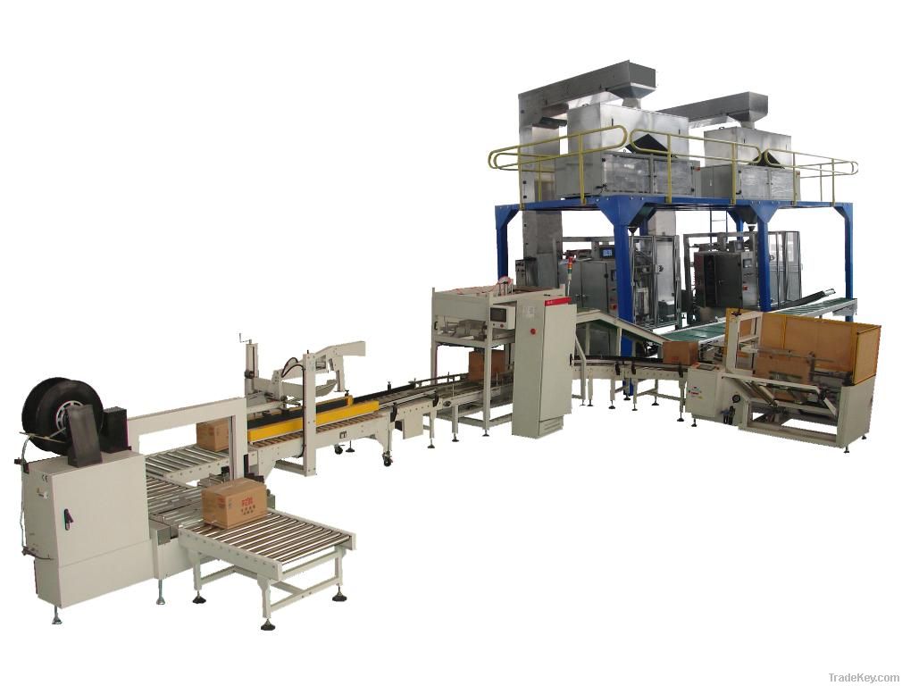 Automatic carton packing line