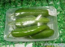 cucumber