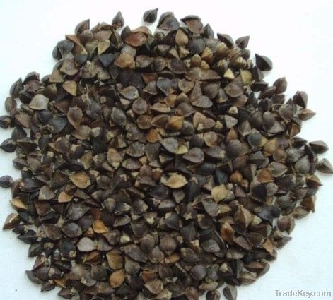 nature New buckwheat with husk from Inner Mongolia Factory, Grop 2012