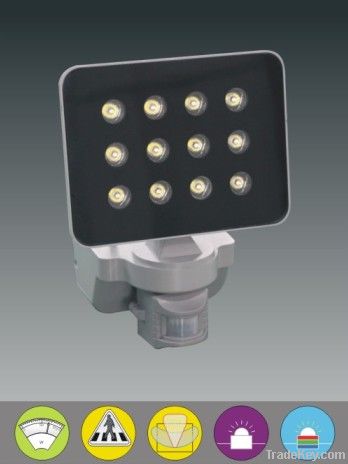 LED Floodlight