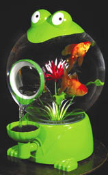 Mr. McDermit, the aquarium frog