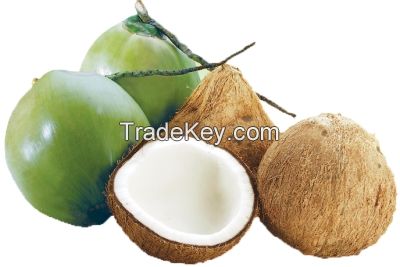 FRESH COCONUT / MATURE COCONUT