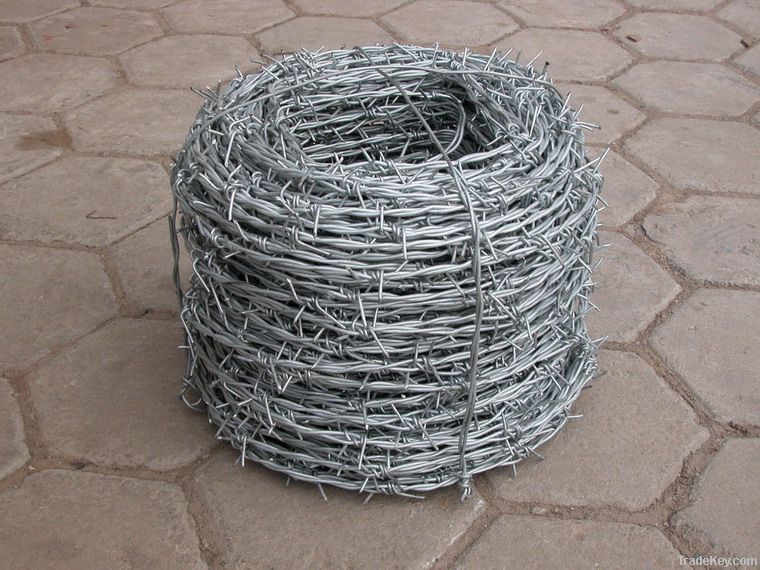 Galvanized barbed wire