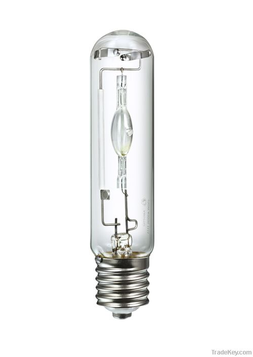 Xenon HID bulb - landscape lighting