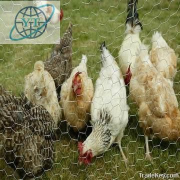 chicken railway fence netting