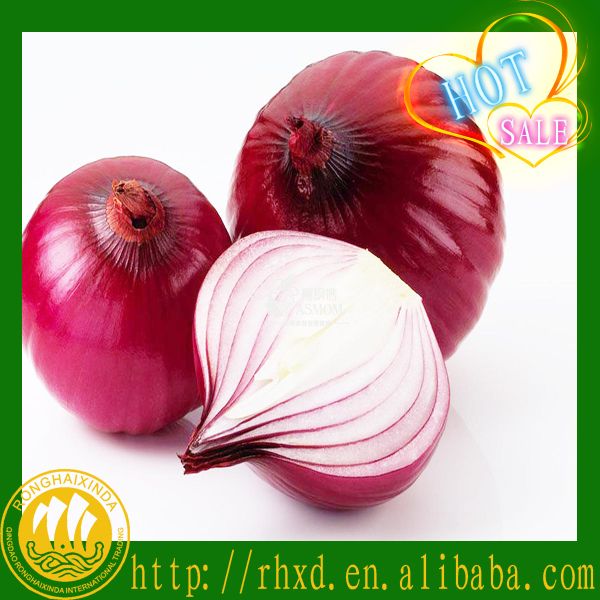 2016 new corp chinese fresh onion for sale