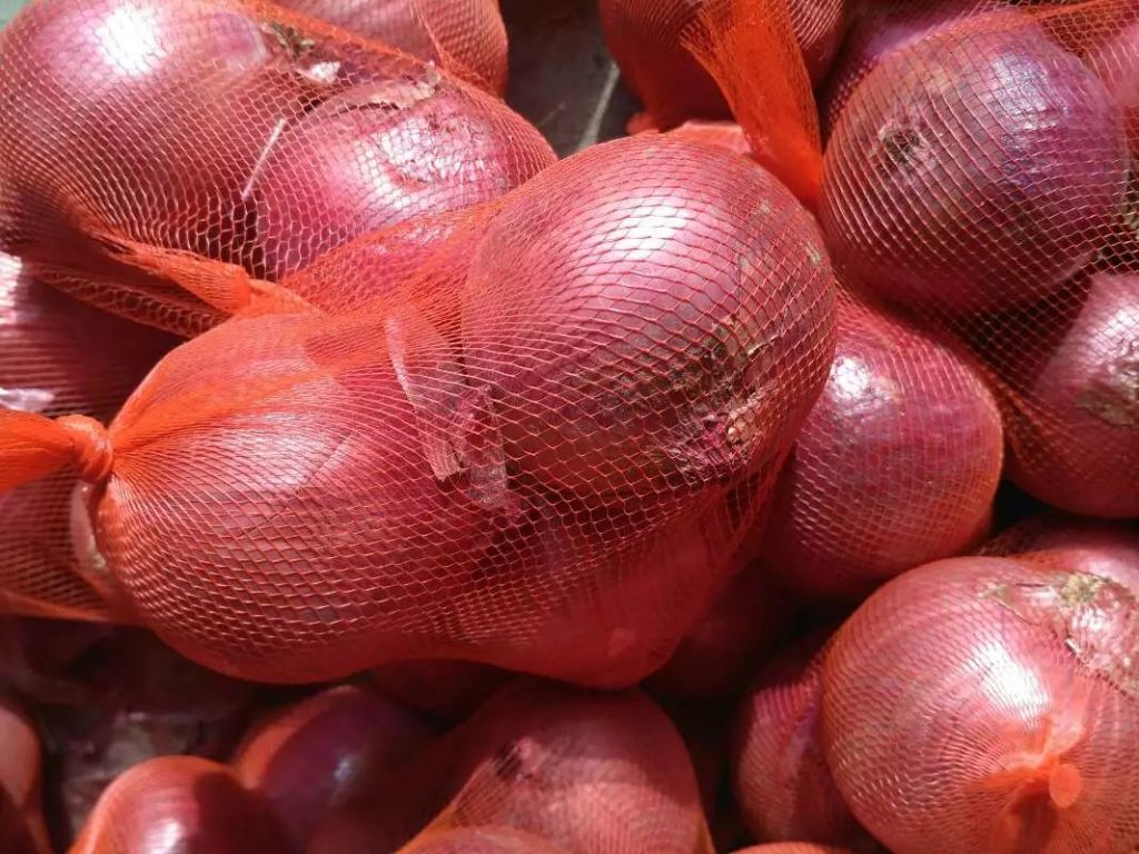 new corp chinese fresh onion for sale