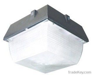 LED Canopy Light