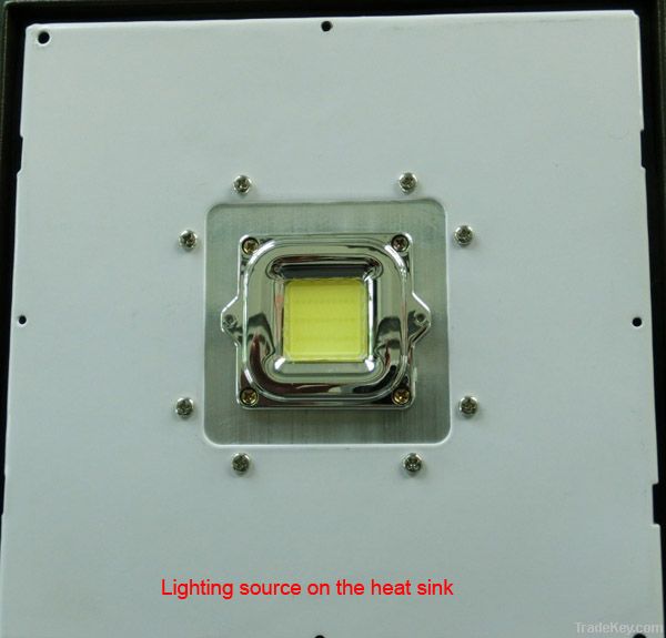 LED Canopy Light