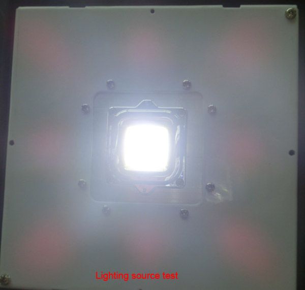 LED Canopy Light