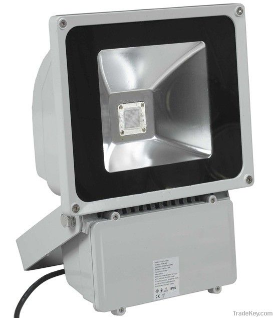 LED Flood light