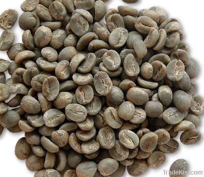 ARABICA COFFEE