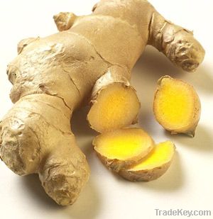 Fresh/Dried Ginger