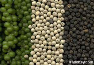 BLACK/WHITE PEPPER