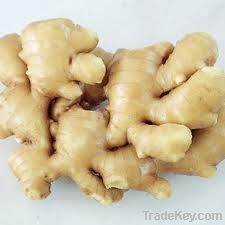 Fresh/Dried Ginger