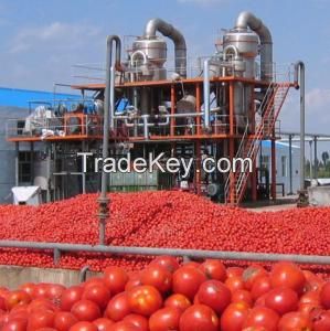 Hot sell factory price canned tomato paste 70g to 2200g 