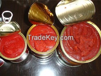 High Quality European Origin Canned Tomato Paste