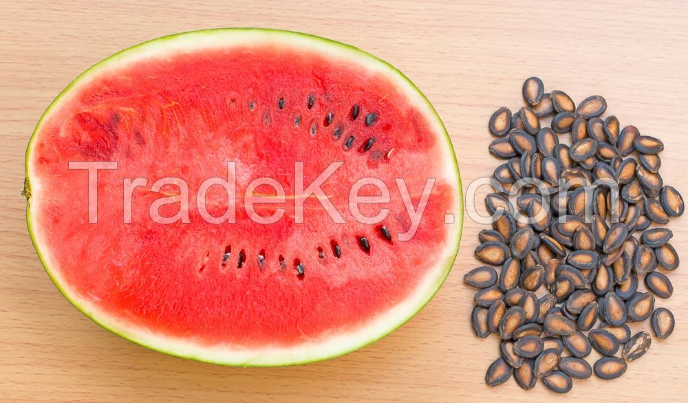 DRIED WATER MELON SEEDS / BLACK,RED,WHITE WATERMELON SEED