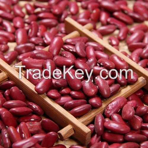 Factory wholesale light red kidney beans with good price 