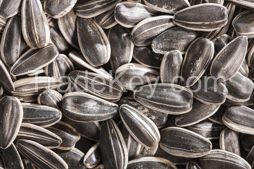 Quality Sunflower Seeds For Sale