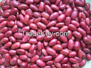 Factory wholesale light red kidney beans with good price