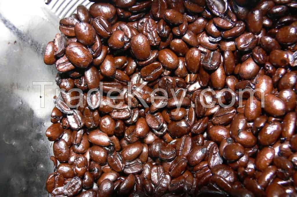 grade A Wholesaler Arabica Roasted coffee beans at low prices