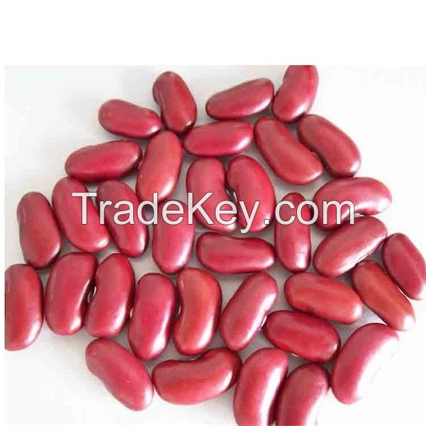 High Quality Bulk Dried Red Kidney Beans for Sale