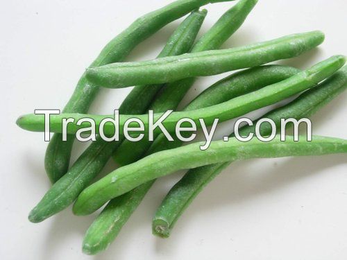High quality best selling IQF frozen cut green beans