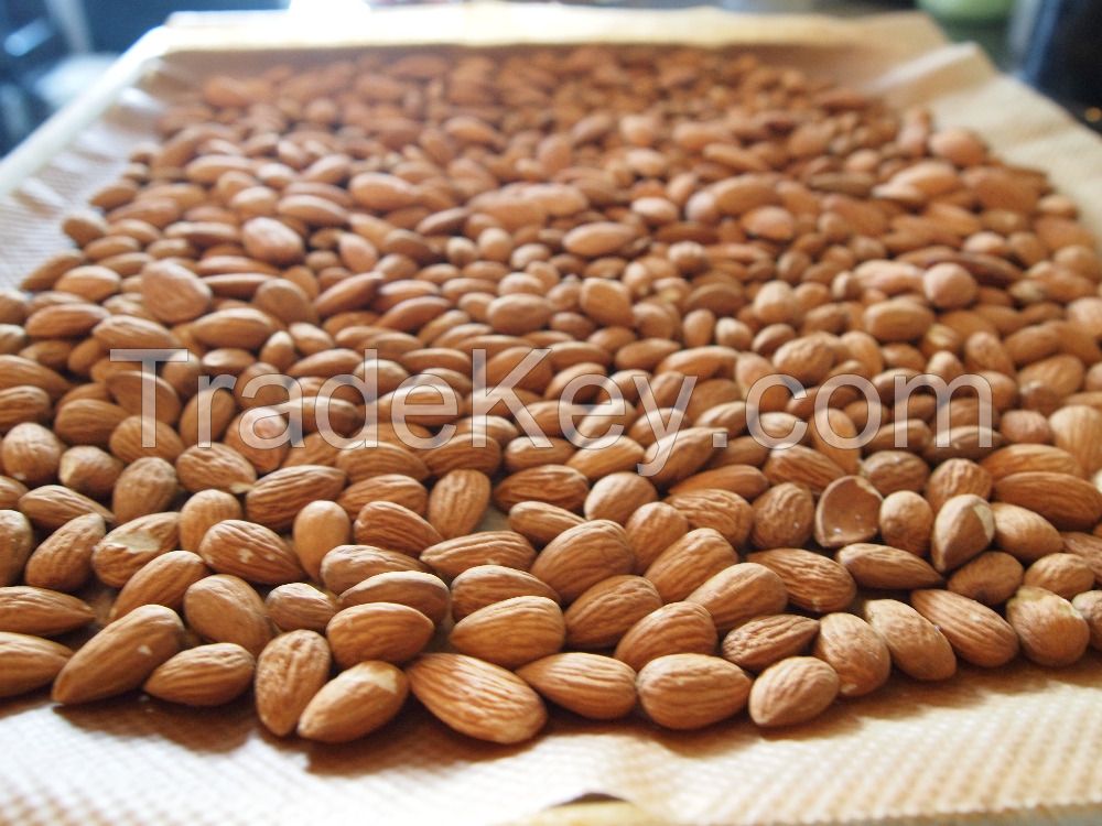 BEST PRICE ALMOND NUTS FOR SALE 