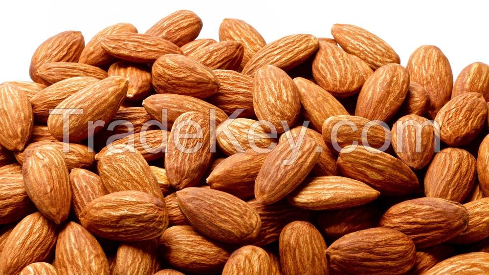 Whole Almonds Nut Nuts Almond Raw Natural Bulk Best Quality 500g 1kg 2kg 5kg QUALITY ALMOND NUTS