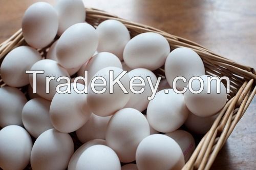 Healthy Chicken Eggs